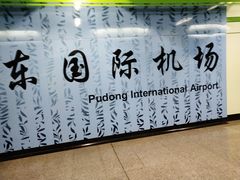 -浦东1号2号航站楼(地铁站)