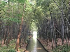-同里国家湿地公园