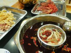 -金鼎雪山牦牛杂火锅(理县总店)