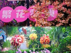 -正佳雨林生态植物园