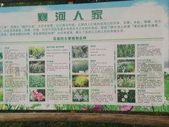 景点-后襄河公园