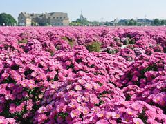 -中国天府农业博览园