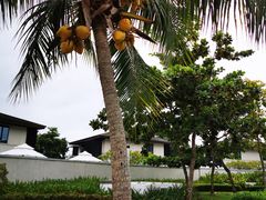 -石梅湾艾美度假酒店