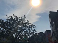-尧坝古镇