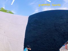 -苏州太湖国家湿地公园