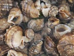 -宾朋海鲜特色美食餐厅·纯手工鲅鱼水饺(兴海路店)