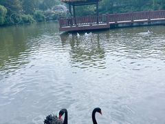 -无锡动物园·太湖欢乐园