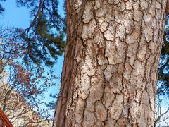 -终南山南五台景区