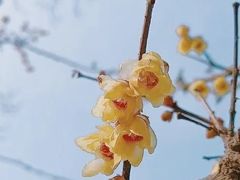 -Miohca缪卡KTV(和平店)