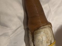 -红雀围·海鲜火锅(陆家嘴中心店)