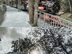 -九龙江国家森林公园