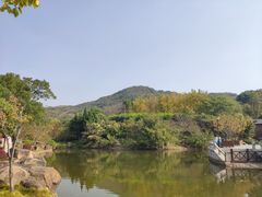 -白马涧龙池景区