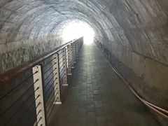 -白水寺森林公园
