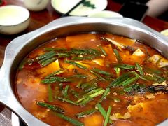 酸萝卜鱼火锅-大理.老字号渝记酸萝卜乌鱼(古城总店)