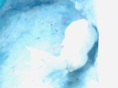 -白鹿仓冰雪海洋世界
