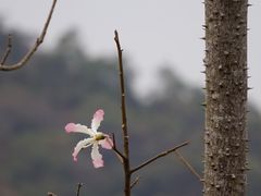 -风云岭森林公园