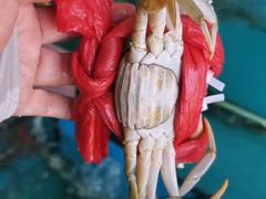 -崖口红树林海鲜餐厅