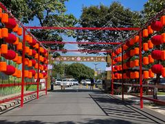 -苏州上方山国家森林公园