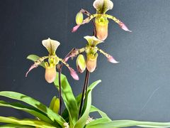 -北京植物园-展览温室