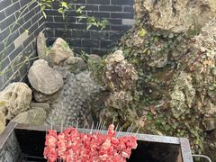 -若水农家乐