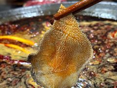 -星鸿社重庆老火锅
