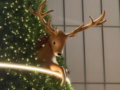 -深圳湾万象城(南山店)