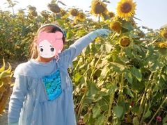 -映月湖中央公园