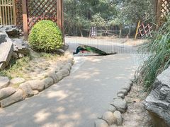-扬州市茱萸湾风景区