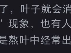 -华仔土鸡店(南洲分店)