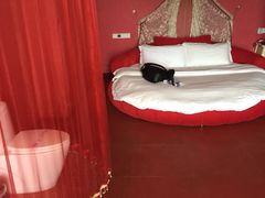 picture-天鹅恋主题酒店(光谷广场步行街店)