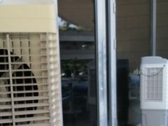 -必胜客(国贸店)