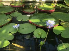 -国家植物园南园