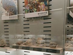-中国地质博物馆