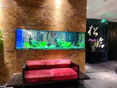 -松临·铁板烧&Omakase(神农店)