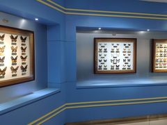 -上海昆虫博物馆