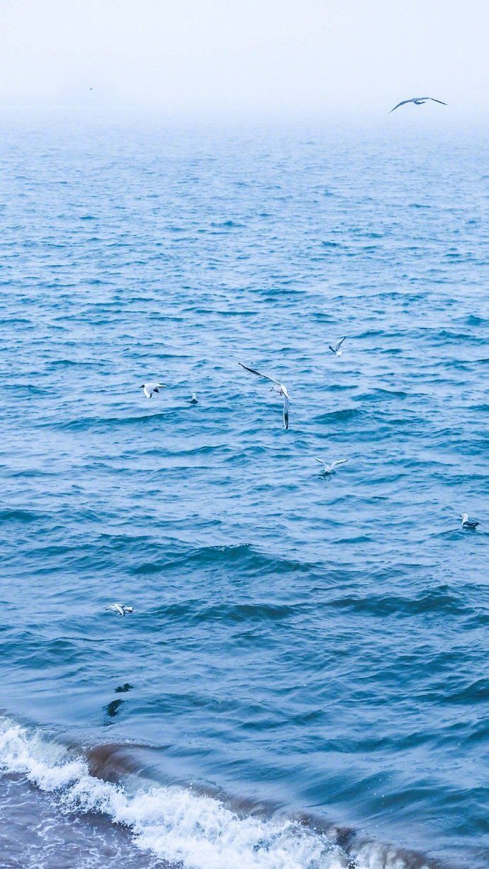 ["一叶浮萍归大海,人生何处不相逢.