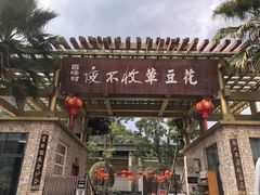 -夜不收荤豆花(大邑总店)
