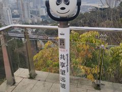 -金鸡山公园