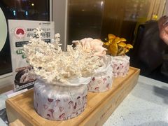 -烹然四季椰子鸡火锅(团结湖总店)