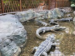 -龙达温泉生态城