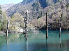 -叠溪松坪沟景区