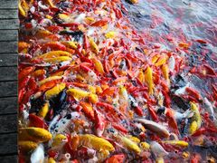 -泰安地下龙宫景区