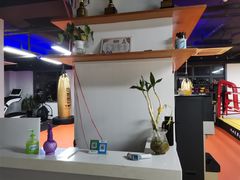 -杭州拳界搏击俱乐部