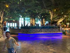 -杭州开元森泊度假乐园