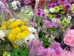 -循礼门鲜花花市(武汉循礼门店)