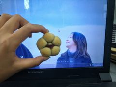 -吴记·吴酥生PASTRY宫廷酥饼