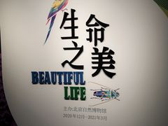 -国家自然博物馆