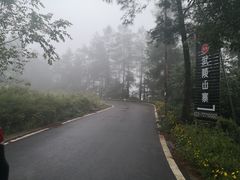 -武陵山森林公园