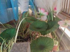 -荷塘秋月·本帮江浙菜(国权路店)