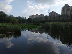 -前关湿地公园